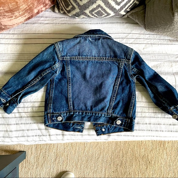 Gap Toddler Denim Jacket - Picture 4 of 4